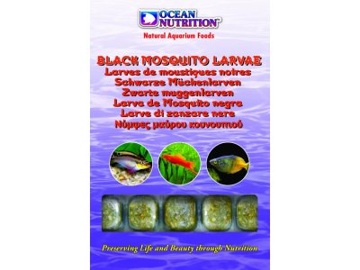 Mrazená Čierna komária larva 1 kg