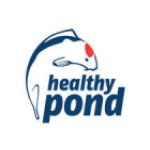 Healthy Pond