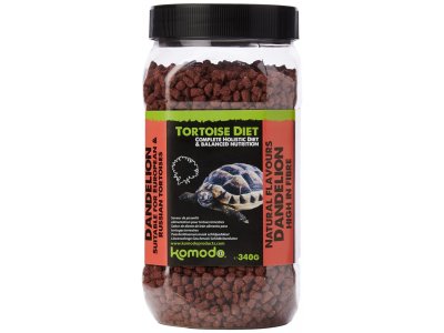 Komodo Tortoise Diet Dandelion