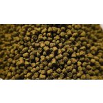 SFB AmericaCichlid gran - 50g