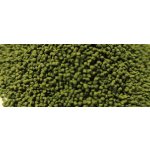SFB AfricaCichlid gran - 50g