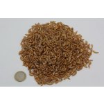 Gammarus 2,5 litra