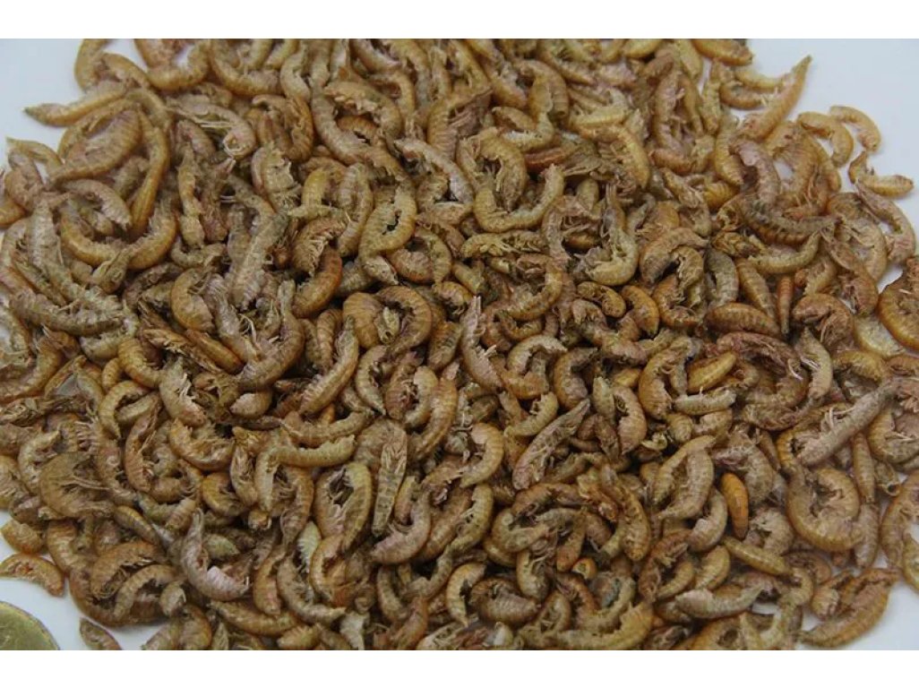 Gammarus 5 litrov