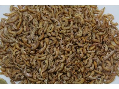 Gammarus 5 litrov