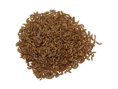 Sušené krevetky 2,5 litra - 2-4 cm
