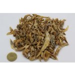 KOI Party MIX 5 litrov
